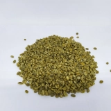 Green Bean Arabika Arabika Mandeling  Semi wash Process  2 1__arabika_lintong