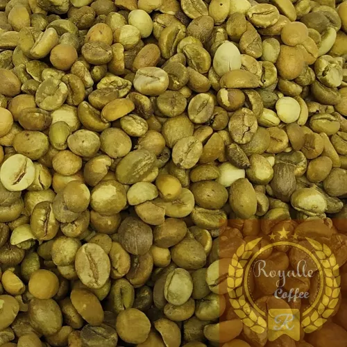 Robusta Bajawa  