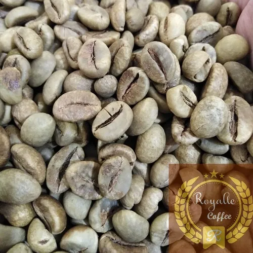 Green Bean Robusta Robusta Bali  1 rob_bali