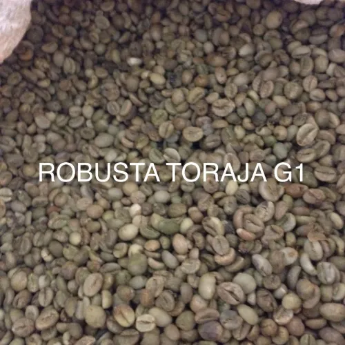 Green Bean Robusta Robusta Toraja  1 rob_toraja_green_bean