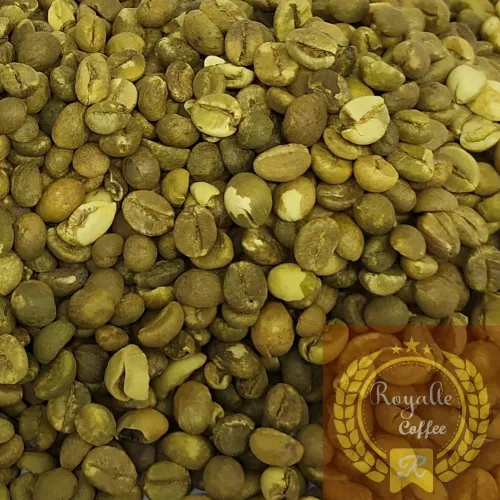 Robusta Gayo 