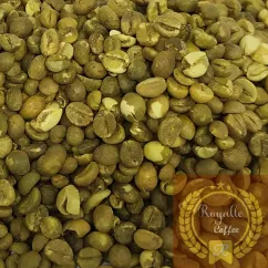 Robusta Gayo  SOLD OUT