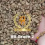 Robusta Dampit Grade 2 SOLD OUT